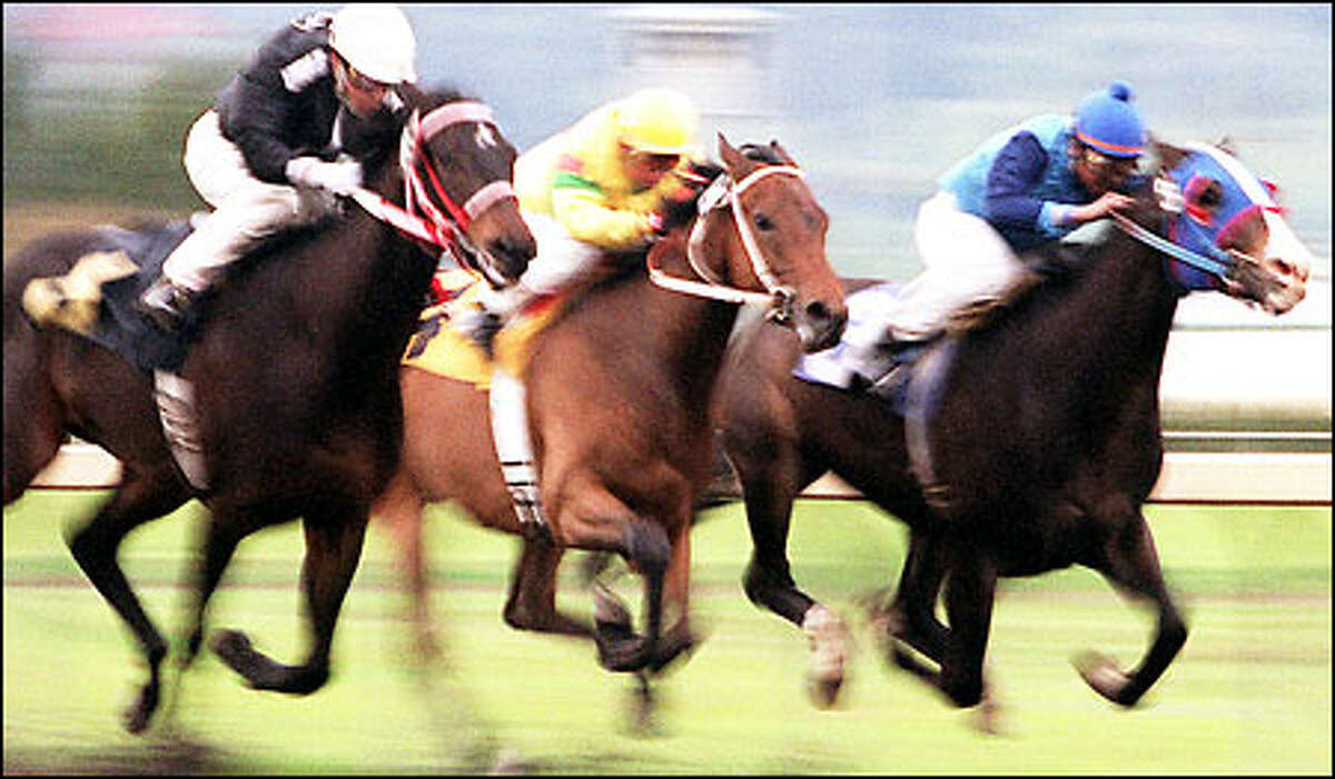 From left, Sky Ridge, Majestic Willie and La Slew race on Emerald Downs' opening day. The track has formed a task force to study the six recent horse deaths there.