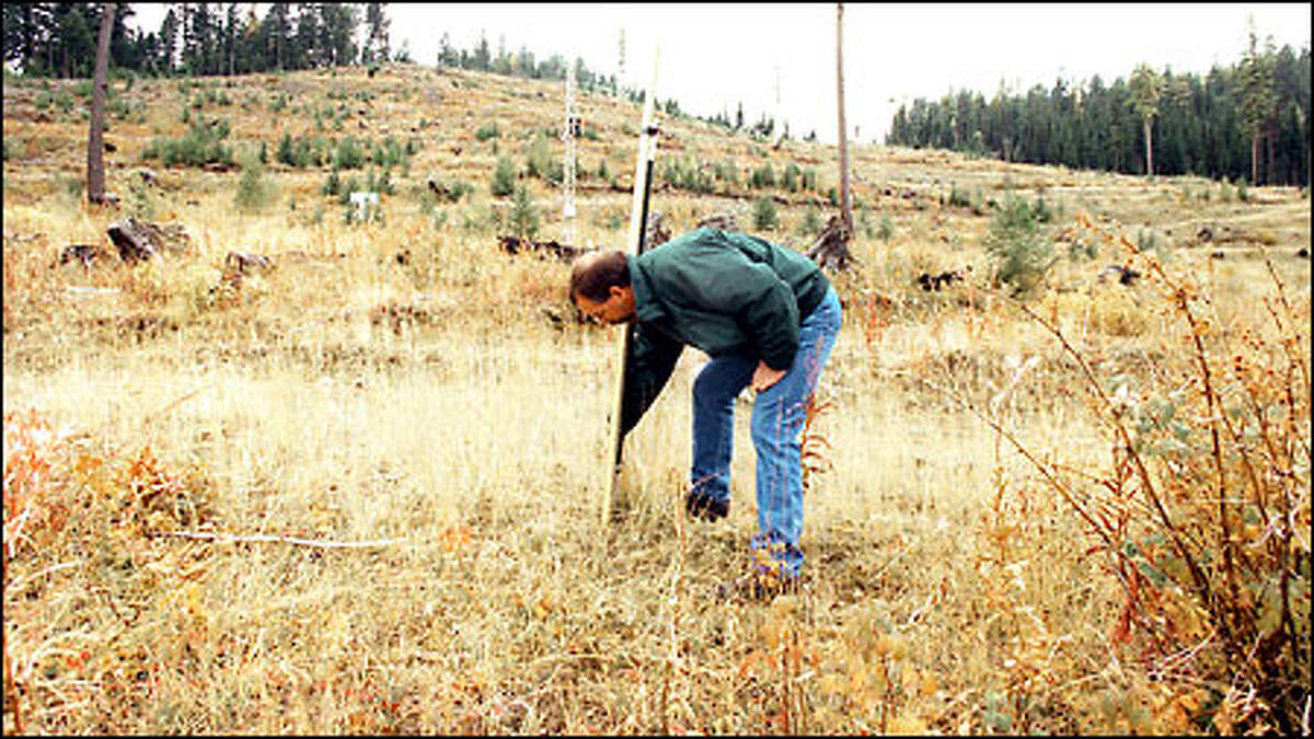 Proposed gold mine divides the Okanogan