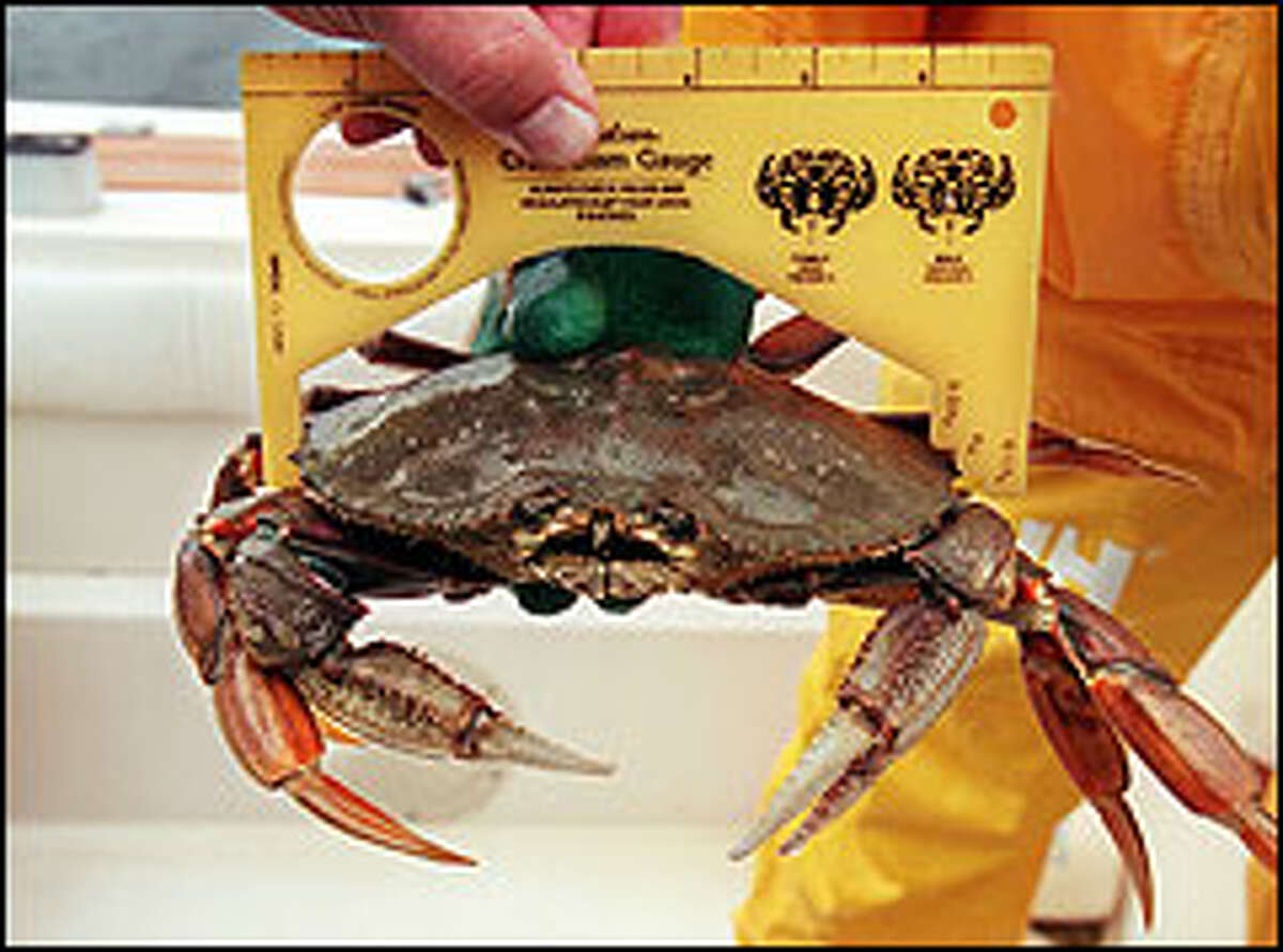 Puget Sound's Dungeness bounty is fun to catch and great to eat