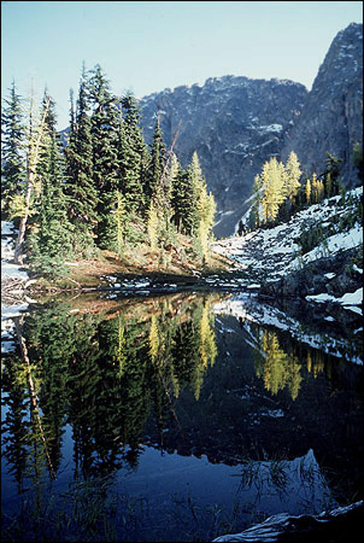 The 'Golden Week:' Larch in the high Cascades