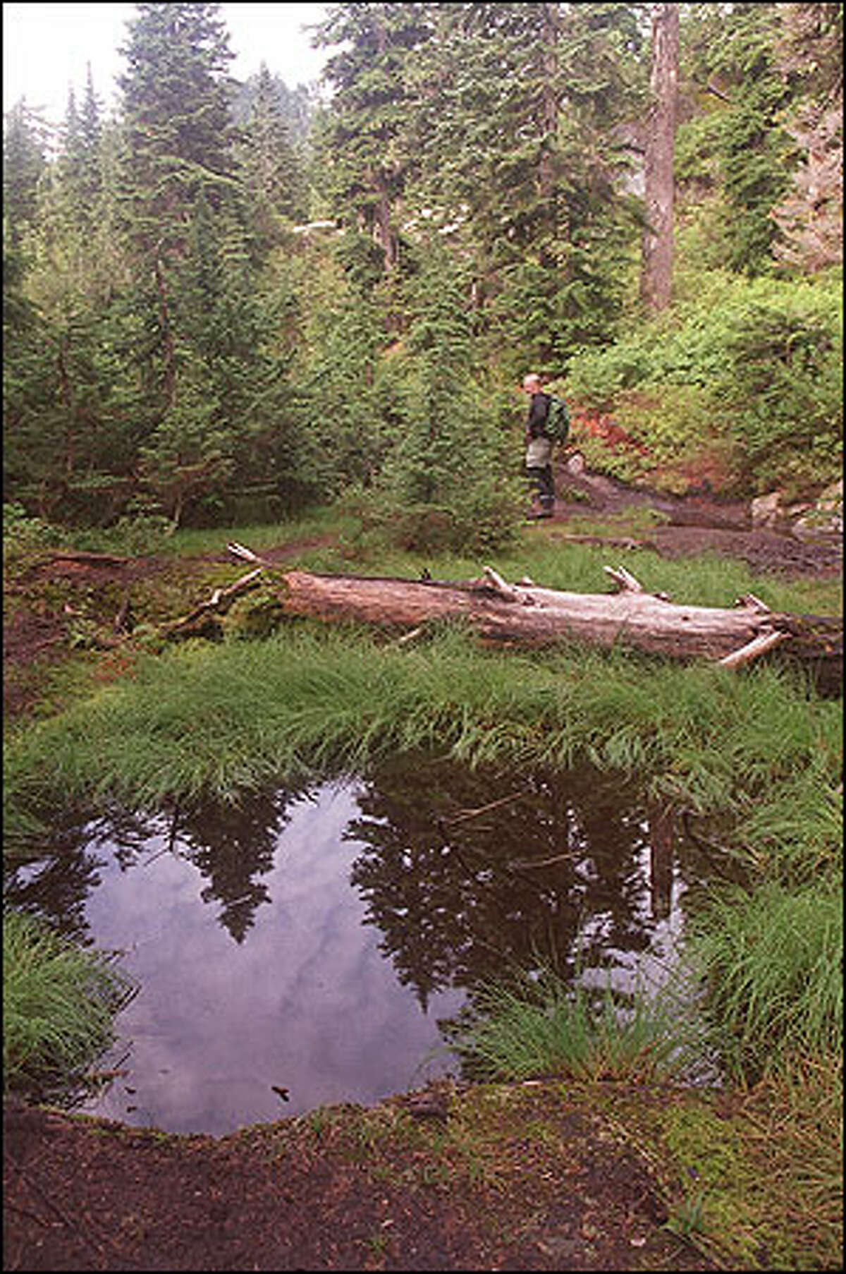 Hike of the Week Trail to lovely Pinnacle Lake is short but not