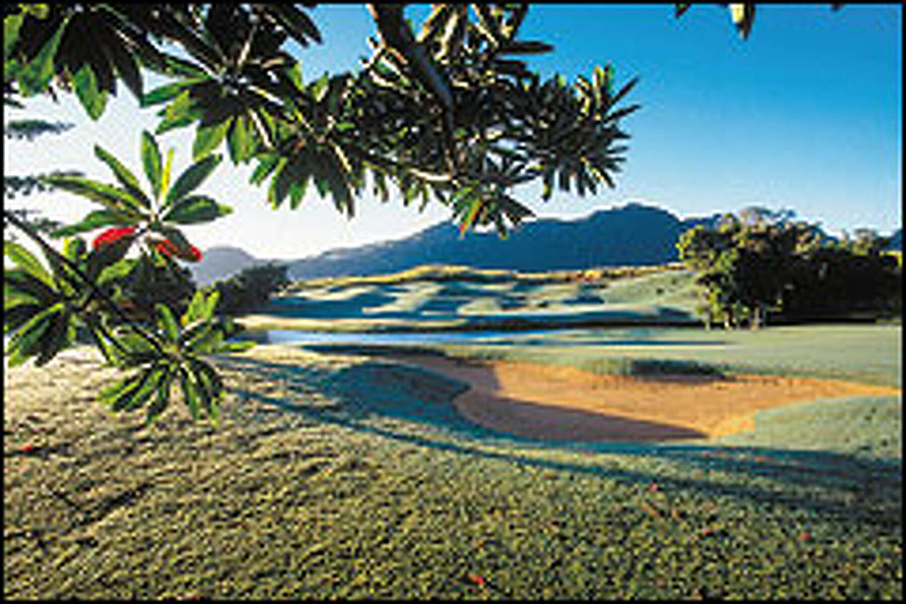 Kauai is for swingers Cornucopia of