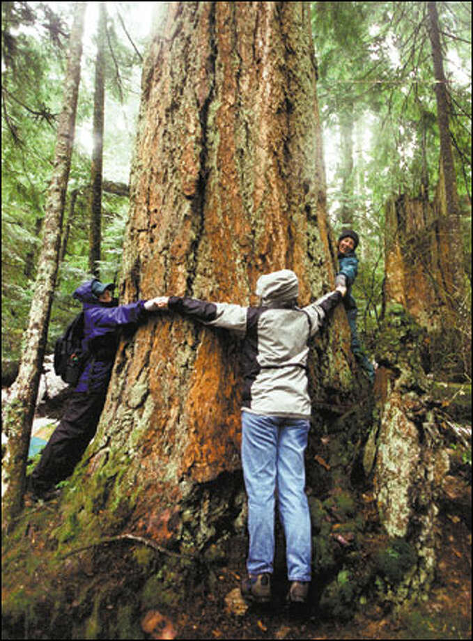 Society tracks down native plants out of love and a