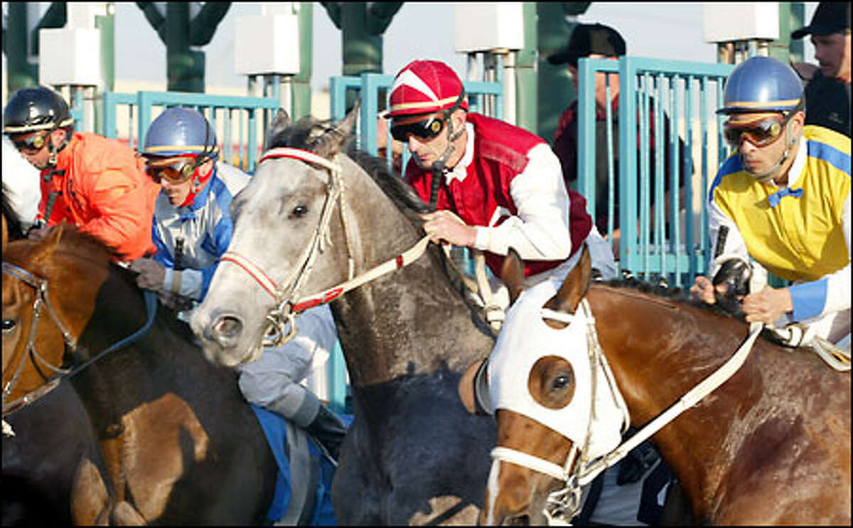 View From The Rail Bazes Are First Family Of Racing