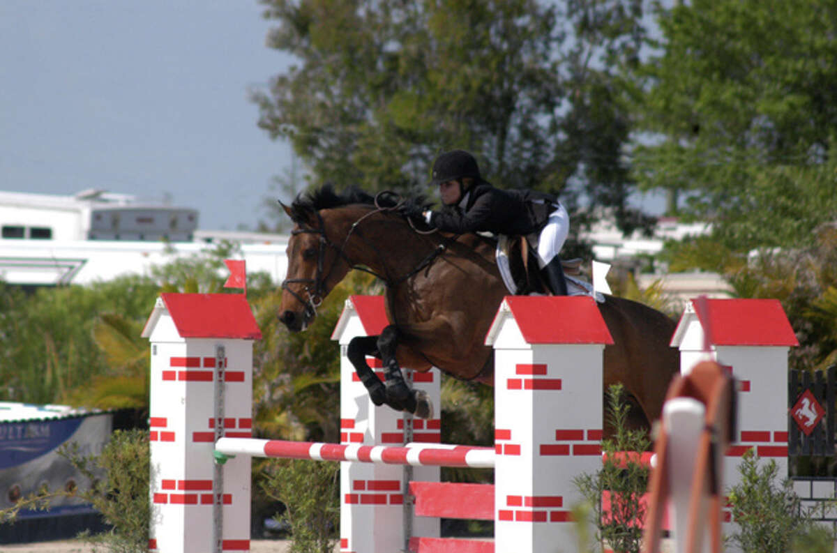 Multi-talented Fogel succeeding on equestrian circuit