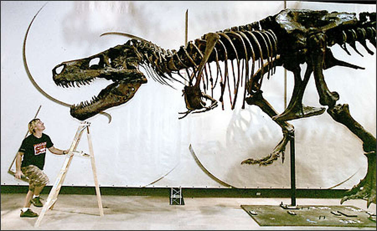 largest t rex