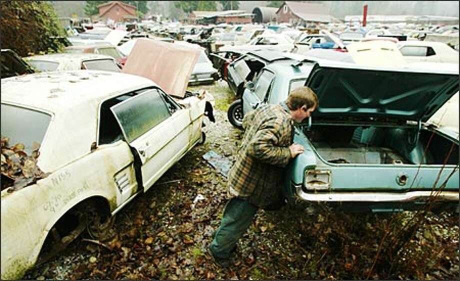 Clic Junkyard May Be Driven Out Seattlepi Bob Riddle Manager At The Wild West Clic Mustang Ranch Looks Over One Of