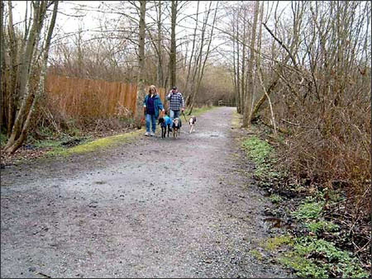 Darrell and Susan Reimer walk their greyhounds at Mercer Slough Nature Park. The wetlands park is in the midst of surburban civilization, yet it has more than five miles of peaceful walking trails.