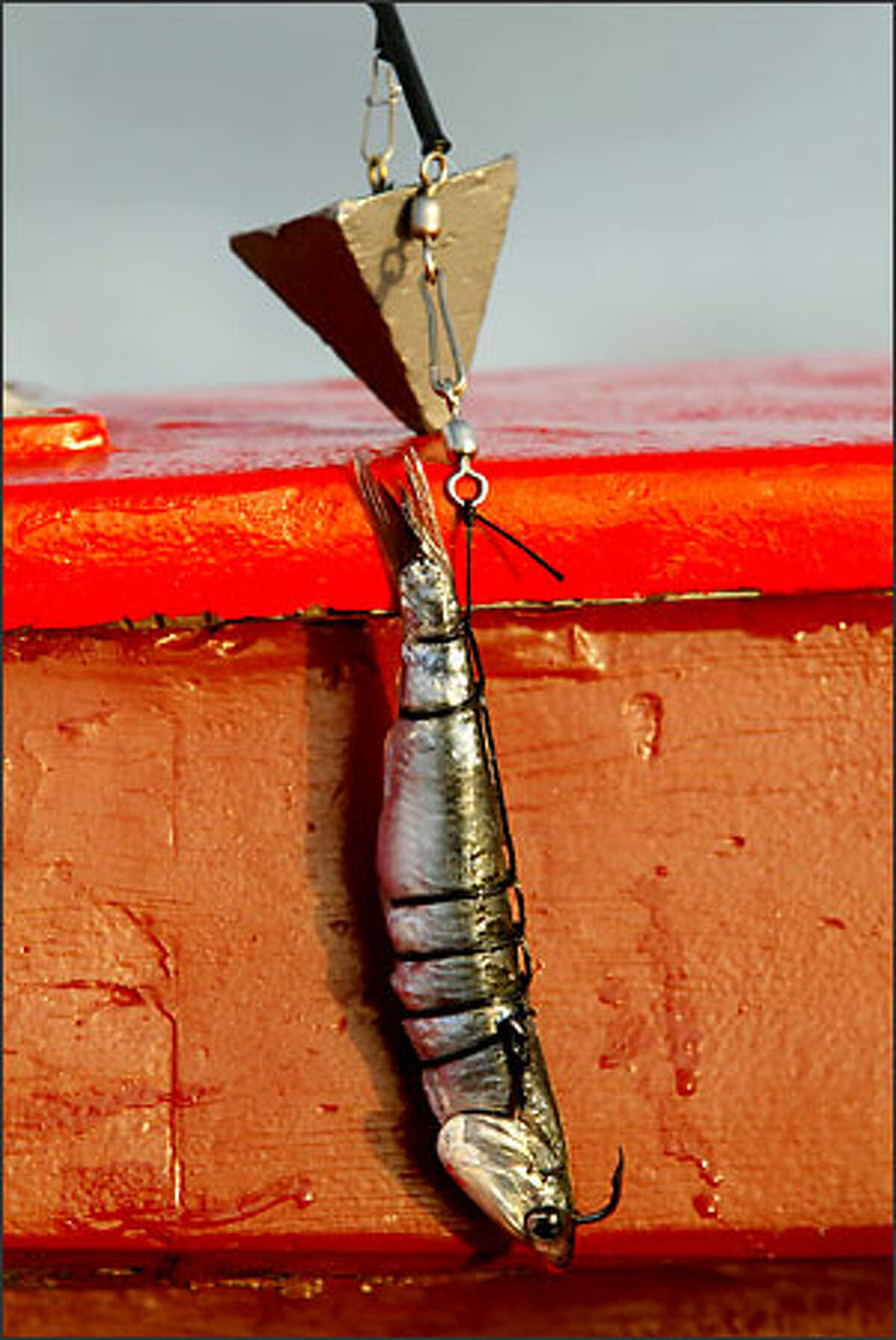 Get your hook in a 'gator' and you're off on a reel-spinning thrill ride
