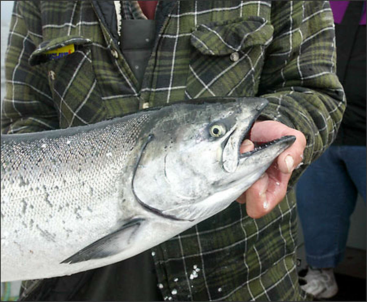 La Push boasts a new attitude and great fishing