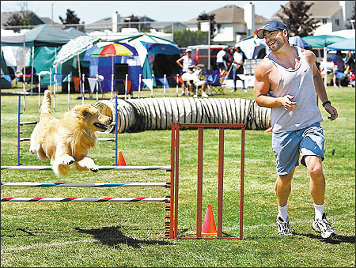 Dog agility A real high for both canine and handler