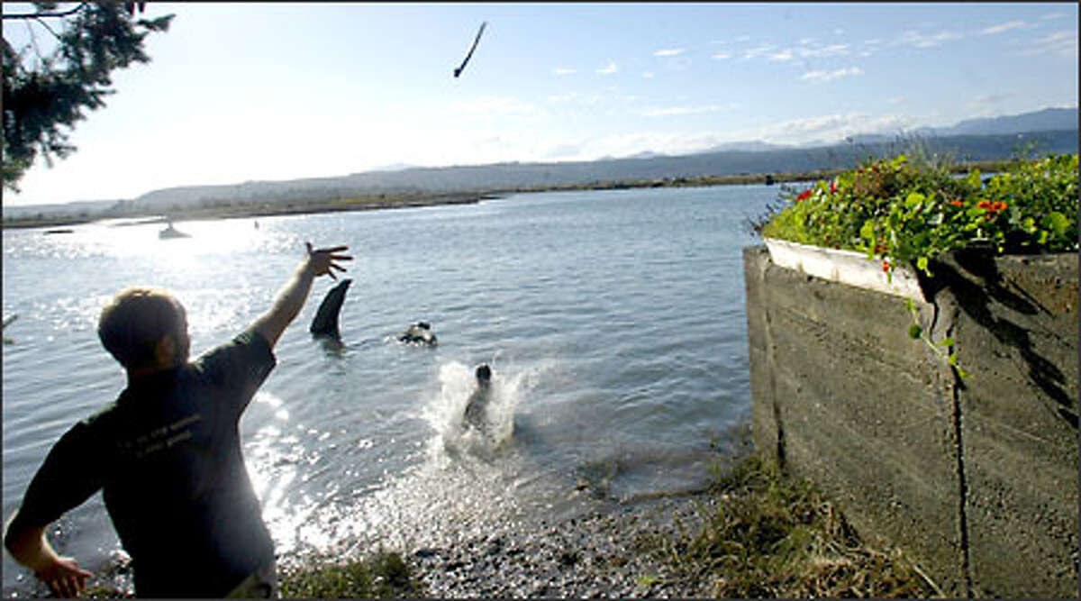 Hood Canal marine life struggling for oxygen