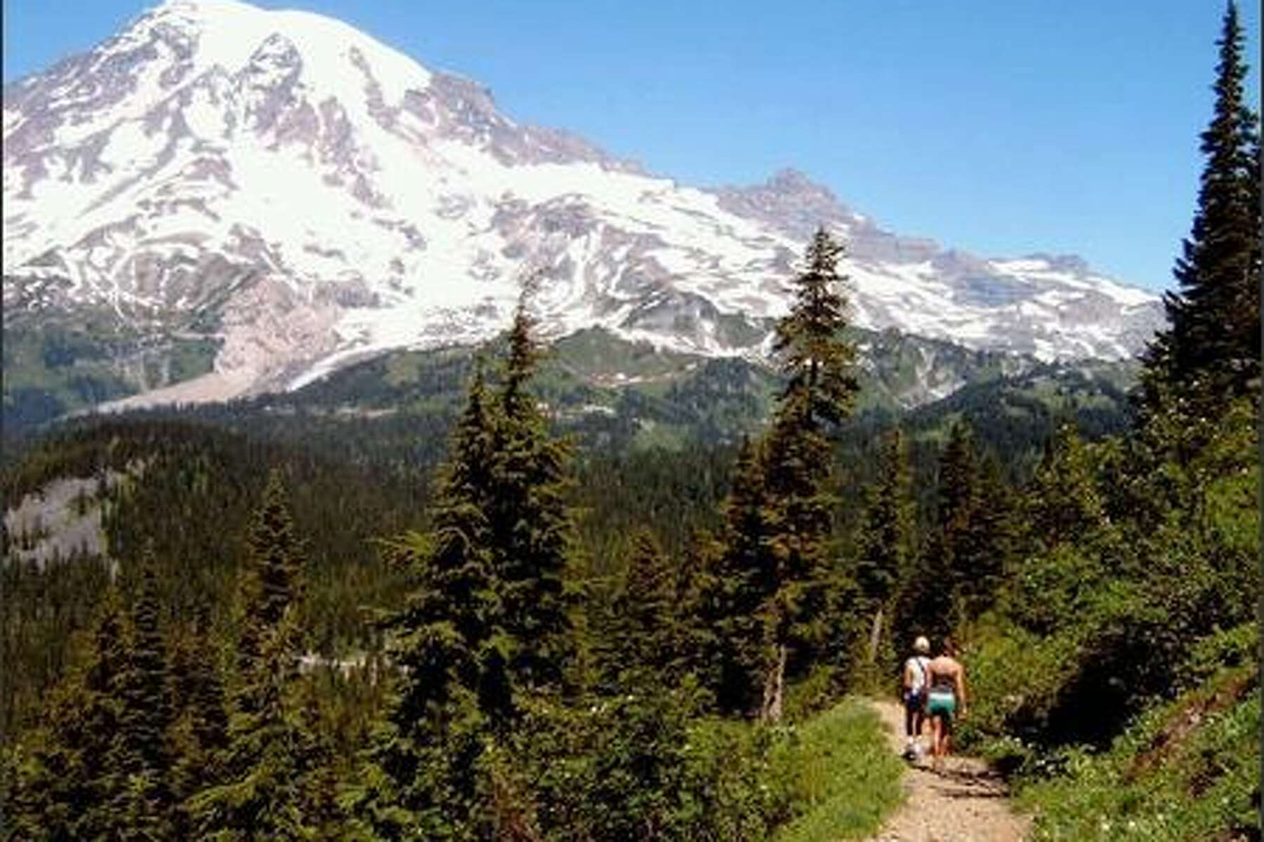 Mount Rainier Hikes: Best Trails and Everything You Need to Know - Explore  with Alec