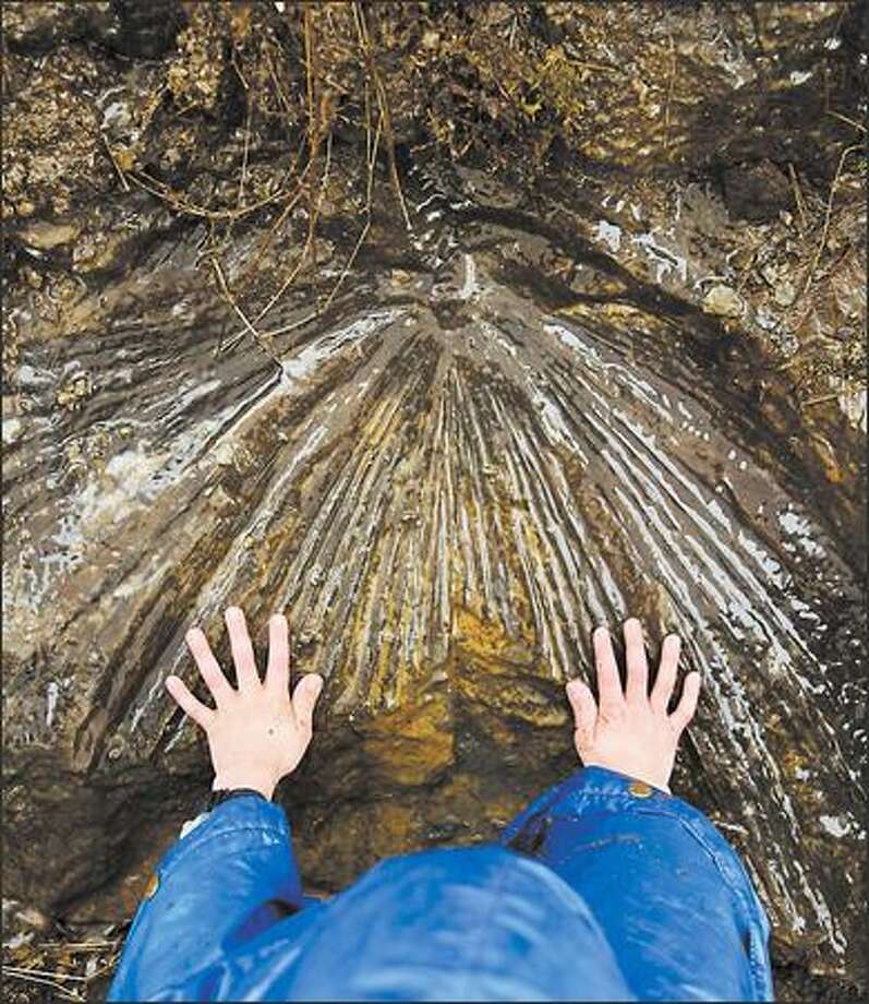 Fossil field trips turn back the clock millions of years