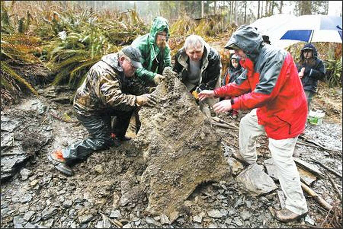 Fossil field trips turn back the clock millions of years