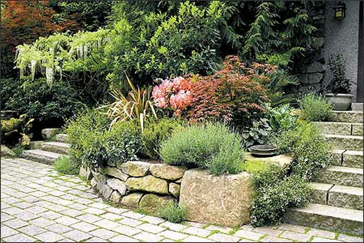 NW Gardens Layering plants enlivens patios