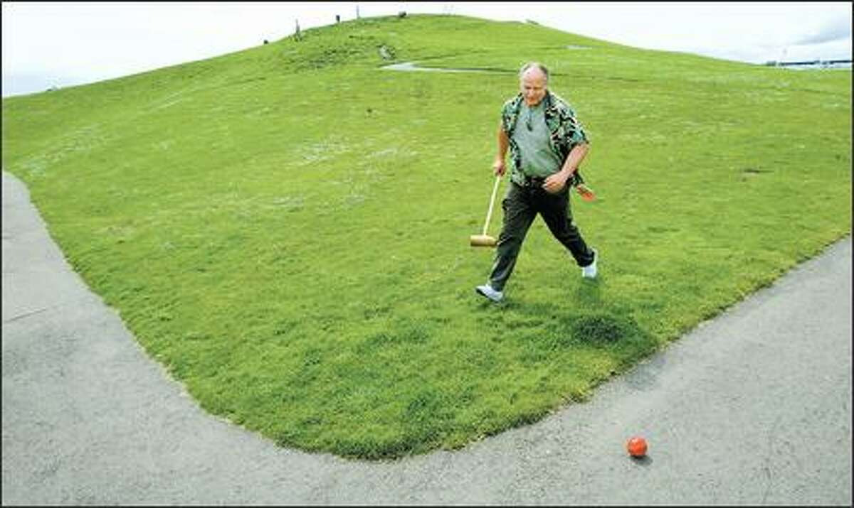 Extreme croquet In this game, there's no such thing as a level playing