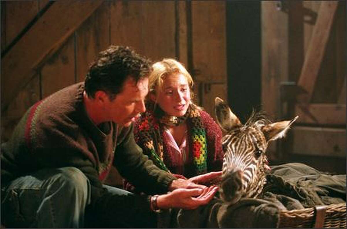 The story begins as a baby zebra is accidentally left behind by a traveling circus during a raging storm. The foal is rescued by farmer Nolan Walsh (Bruce Greenwood), a retired champion thoroughbred trainer, and his daughter, Channing (Hayden Panettiere). They keep the zebra and name him Stripes.