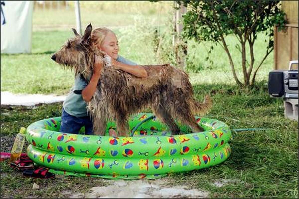 Opal (AnnaSophia Robb) gives her new best friend, a stray dog she has named Winn-Dixie, a much-needed bath.