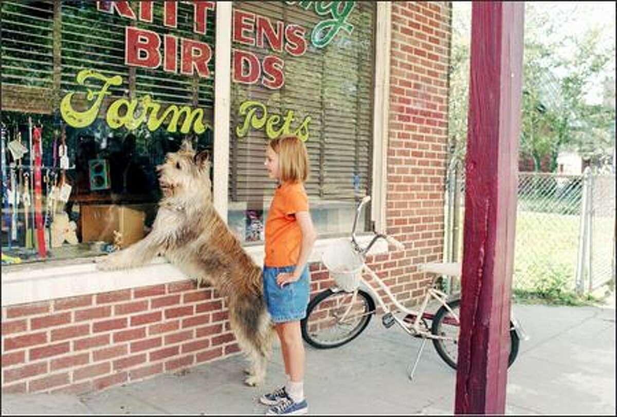 Because of WinnDixie