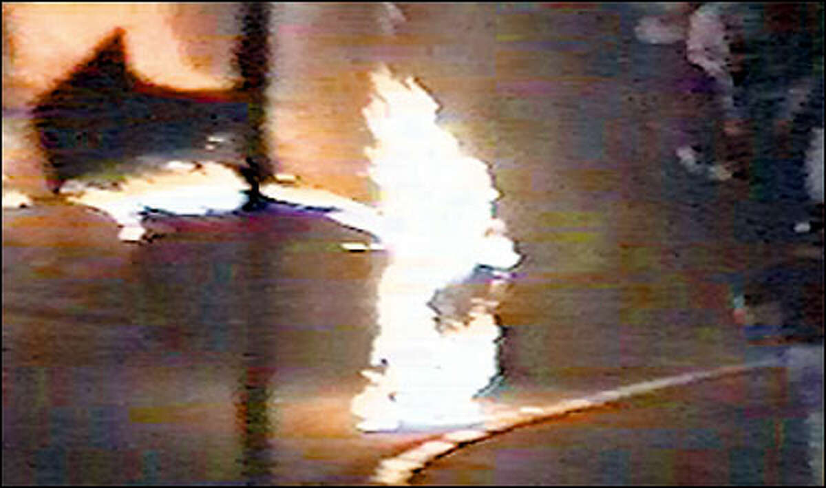 Track workers battle to extinguish the fire engulfing the cars of Ken Longley and Mike Easley. The fuel tank on Longley's car ruptured after he was rear-ended, touching off the inferno. Easley's car then plowed into the wreckage. Both drivers nearly burned to death.
