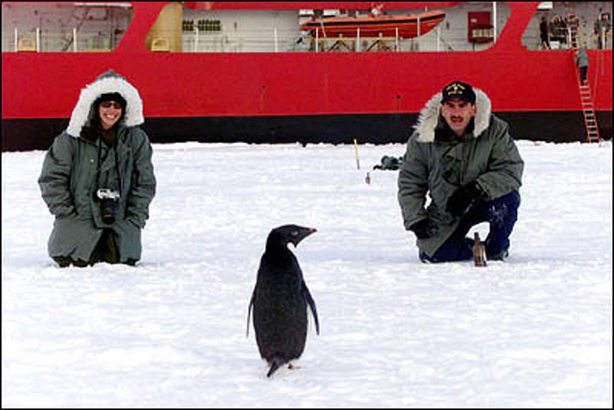 On ice liberty from the USCGC Polar Star for New Year's Eve, Seaman Shelley Dixon,left, and Boatswain Mate 1st Class Wesley Pannett try to talk to a penguin.