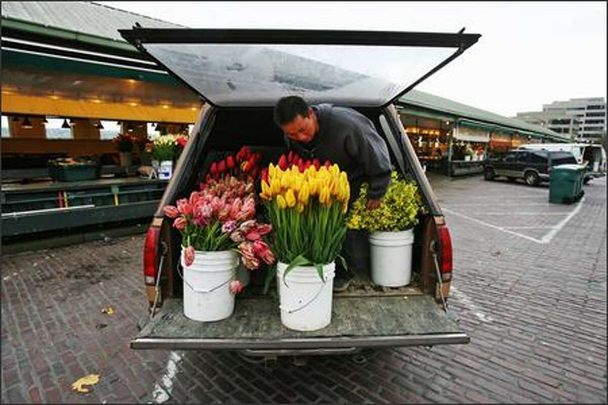 Leng Lee stages buckets of tulips on the back of his truck as he prepares to unload them at Pike Place Market.