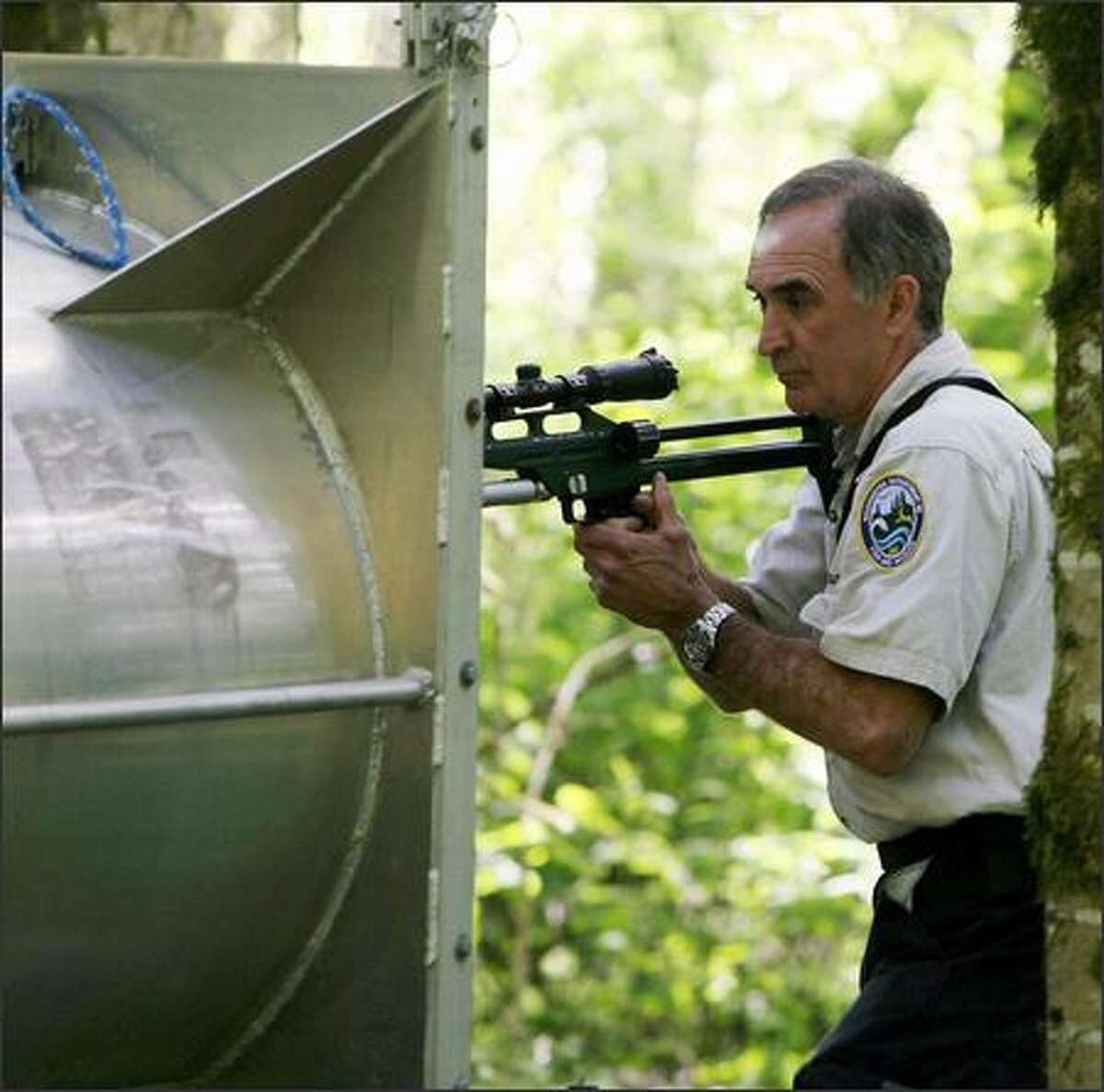 Wildlife Biologist Rocky Spencer of the State of Washington Department of Fish and Wildlife fires a tranquilizer dart into the black bear. The bear was captured in a trap on Weyerhauser property in Federal Way near company headquarters.