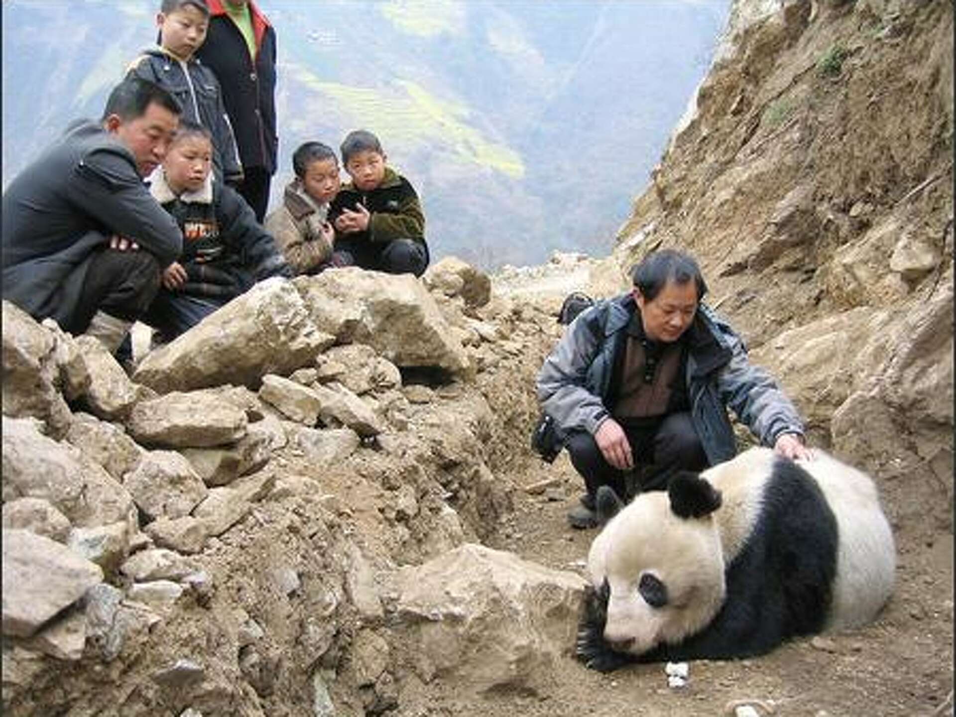 Sanctuary's panda estimate is doubled