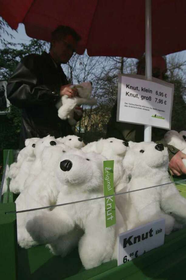 polar bear teddies