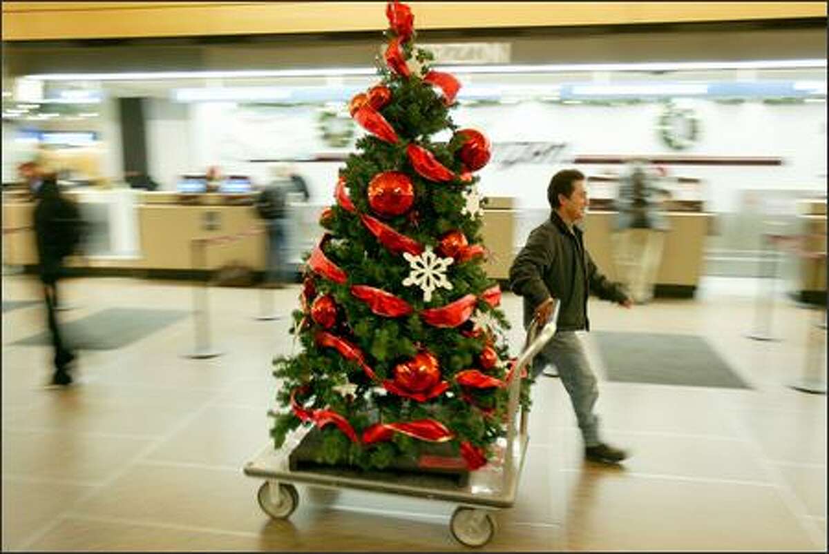 Christmas Eve At Seatac 2022 Christmas Trees Returned To Sea-Tac Airport