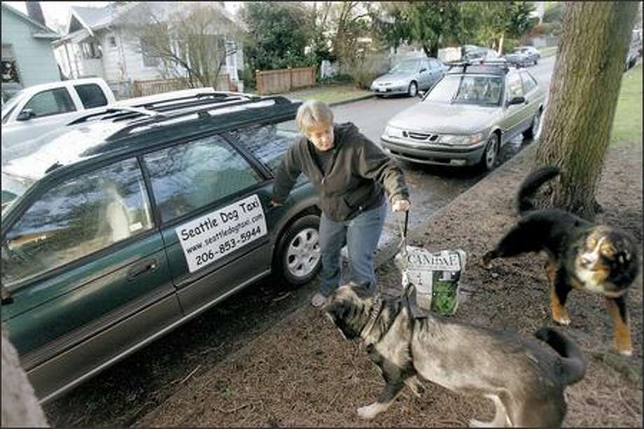 Seattle Dog Taxi shuttles 120 dogs monthly