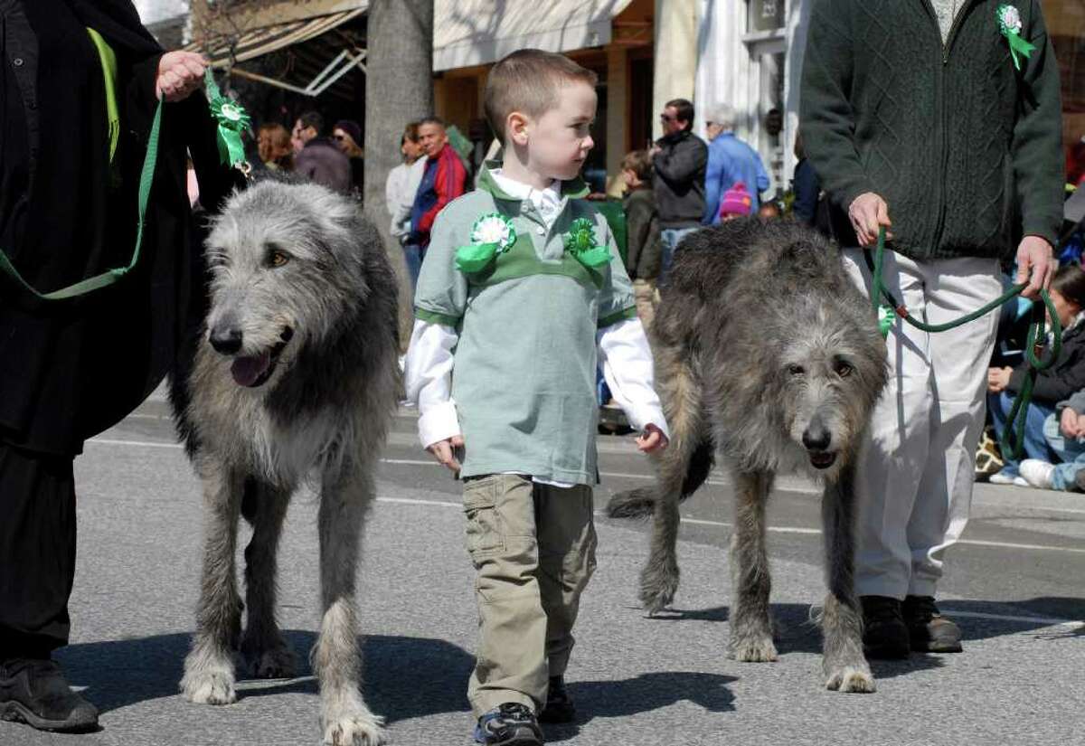 st patricks day wolfhounds