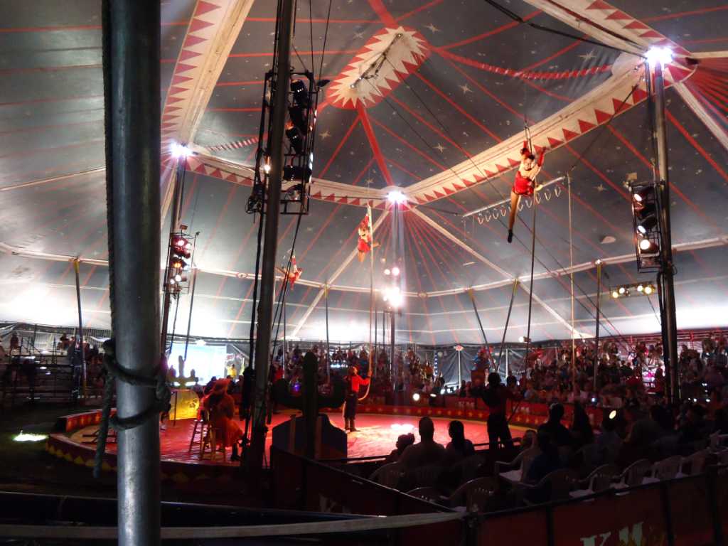 Circus comes to town