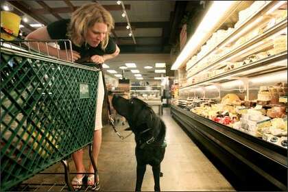 dog grocery store