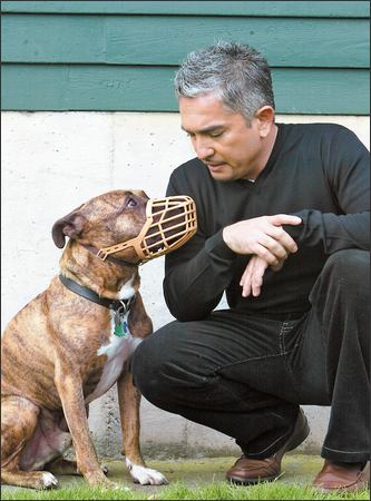 Dog Whisperer Cesar Millan teaches local canines to play nice