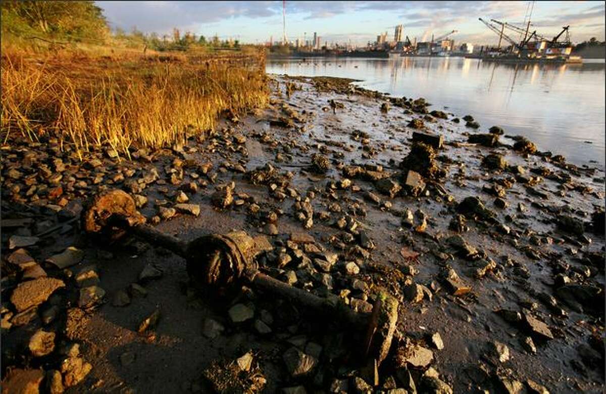 The federal "Clean Water Rule" protects upstream wetlands and creeks from pollution, which can impact estuaries such as Seattle's Duwamish River.  Habitat restoration is under way at seven sites along the Duwamish. Near Herring's House Park on West Marginal Way, a salt marsh is being restored. Only 2 percent of the original estuary remains.