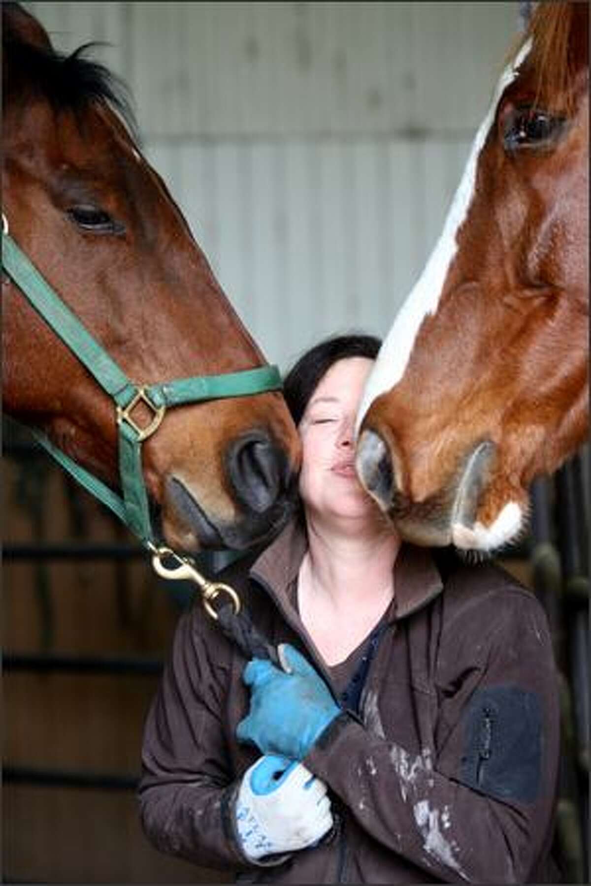 Second Chance Ranch gives rescued horses a leg up