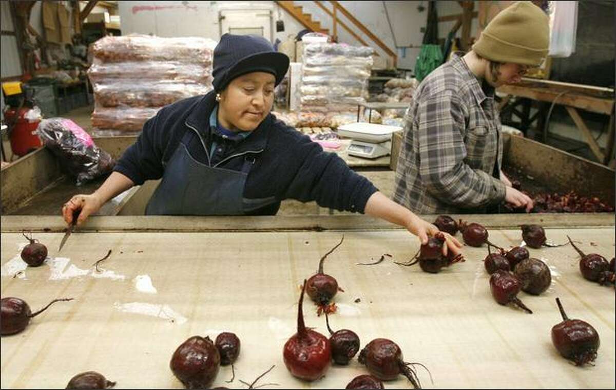 Raina Gomez, left, and Kelly Roake clean and cut fresh beets this month at Nash's Organic Produce. Getting locally produced farm products into nearby institutions is more difficult than it might seem.