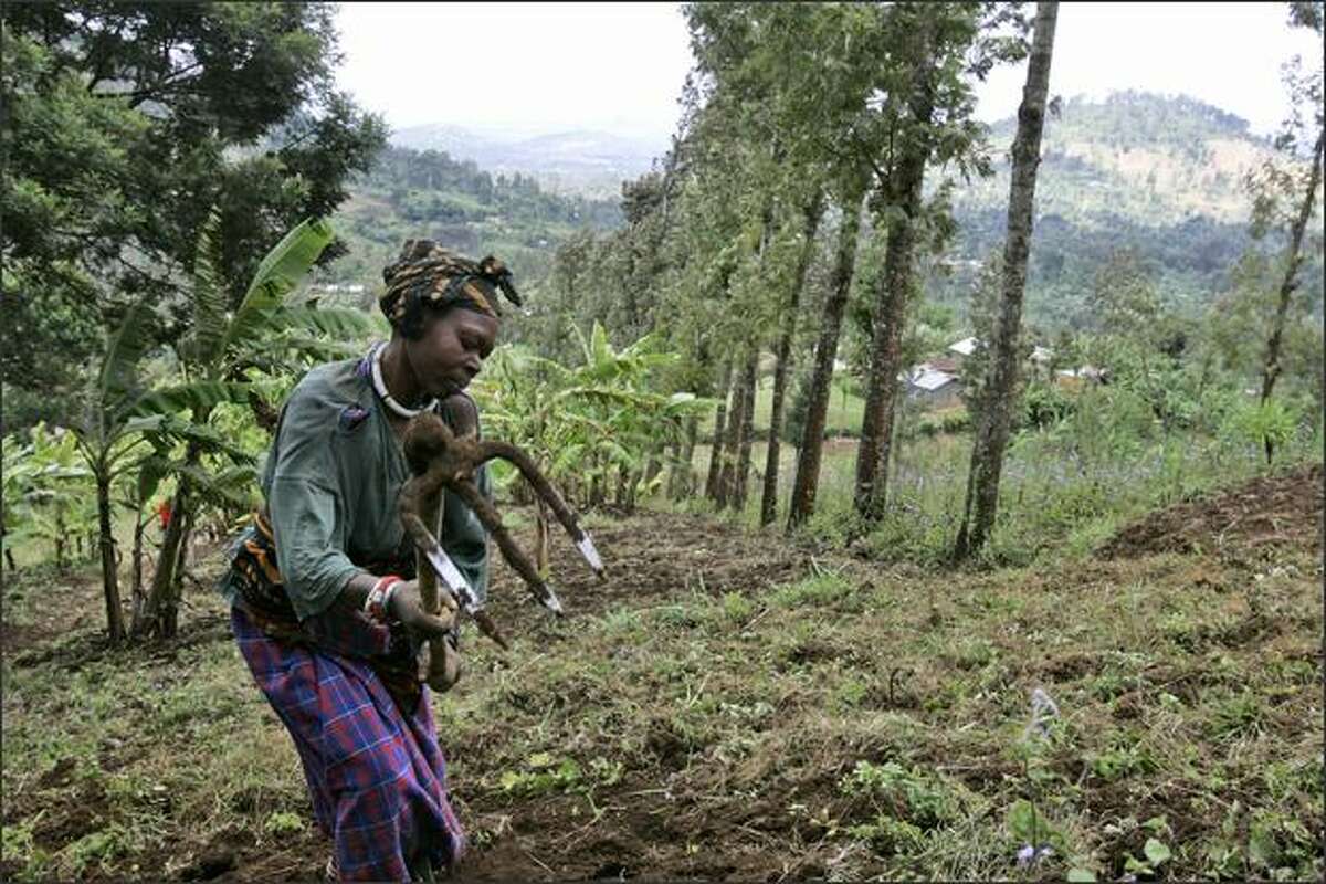 A woman works in a field in Ngiresi, near Arusha, Tanzania, in this file photo. The Bill & Melinda Gates Foundation is giving $306 million to help poor farmers, including smallholder farmers, most of whom are women.