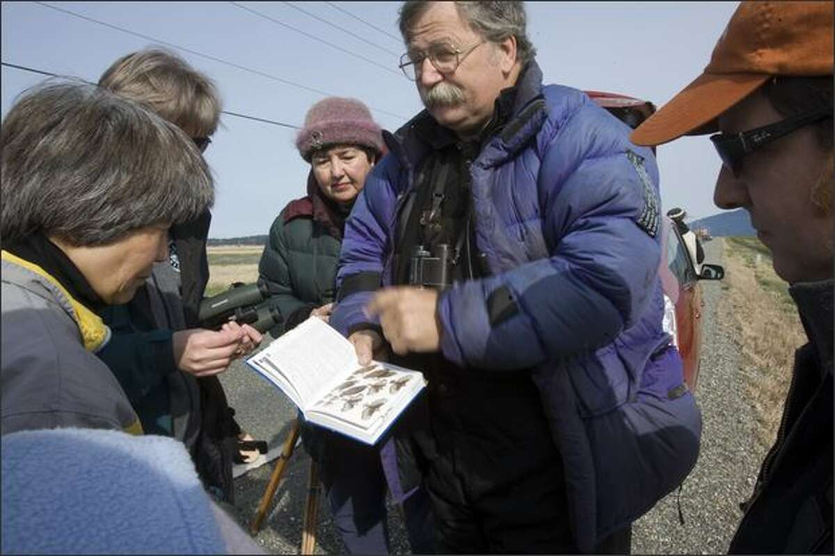 Bud Anderson, president of the Falcon Research Group, shows a page of falcon images to a group on a field trip on the Samish River delta. Anderson began seeing long-billed birds in the late 1990s.