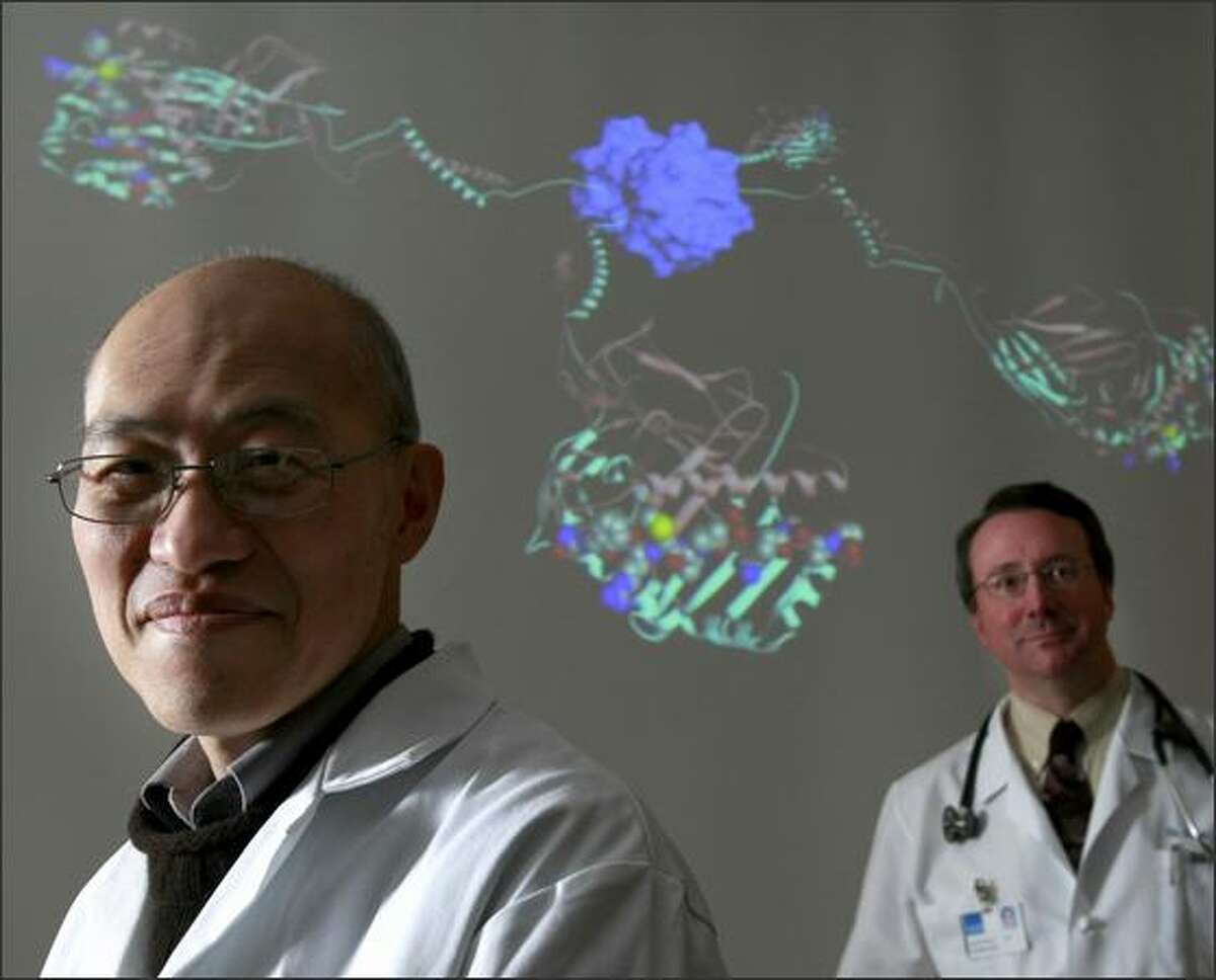 Drs. William Kwok, left, and David Robinson are trying to figure out how to more quickly diagnose allergies using tetramers, pictured in background, which are used to find allergen cells in blood. The work may lead to elimination of allergies.