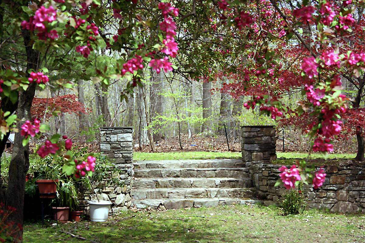 House hunting in Stratford