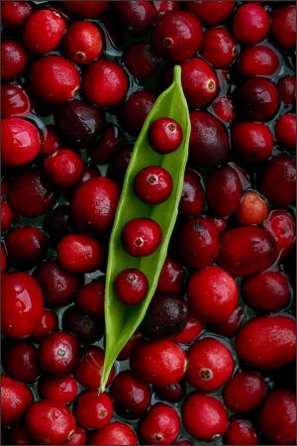 Cranberries can form the basis of cocktails, sauces or the essence of a sorbet.Rogers: I wanted to take a simple food portrait and add an unexpected twist. The pea pod idea occurred to me after I spied the peas while stocking up on cranberries for the shoot. My "bog" background was created by filling a bowl of water with berries. Initially, I shot the pod on a bed of golden leaves to give the photo a feeling of fall. My editors helped me out by suggesting that it just didn't scream cranberries ... pushing me to go back to the drawing board and create a picture that more effectively conveyed the cranberry message while retaining the whimsy.