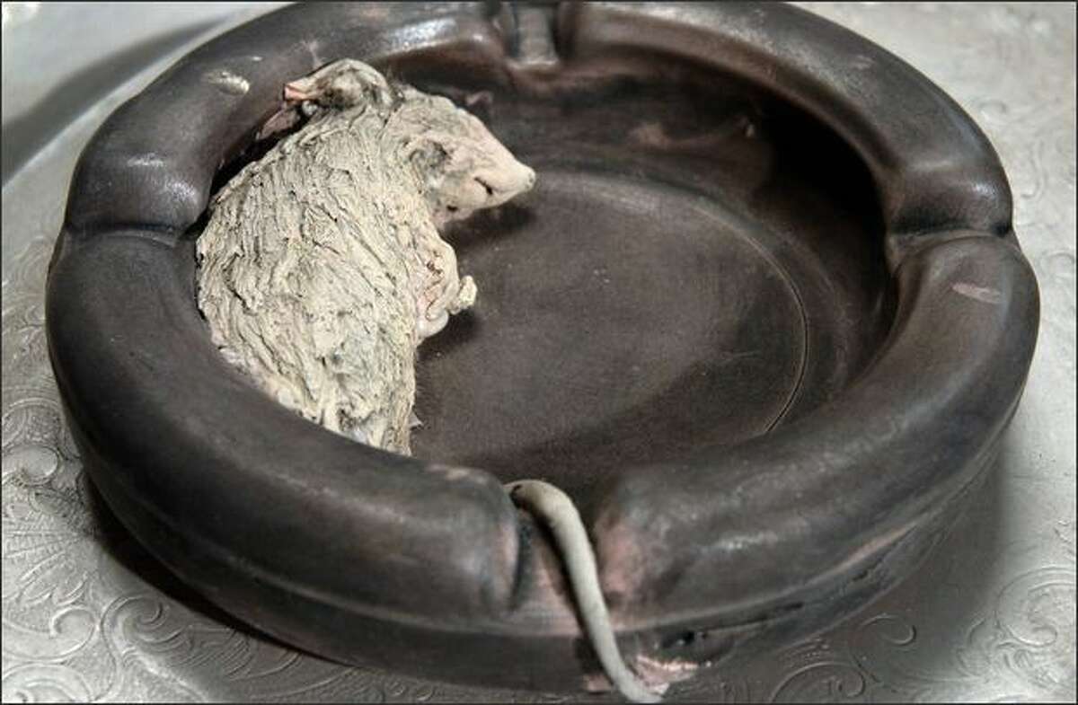 This gypsum-covered mouse appears to have crawled into the ashtray to die.