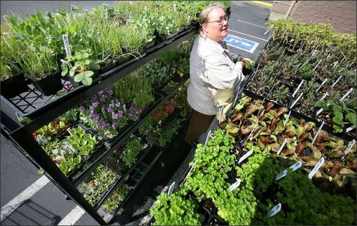An avid gardener, Maggieh Rathbun shops for herbs to grow at her home.