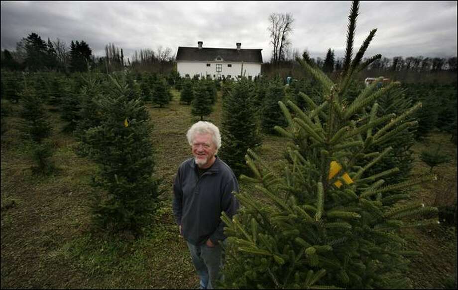 Family Christmas Tree Farms Offer Experiences That Can't Be Matched Family Christmas tree farms offer experiences that can't be matched - Family Christmas Tree Farms Offer Experiences That Can't Be Matched