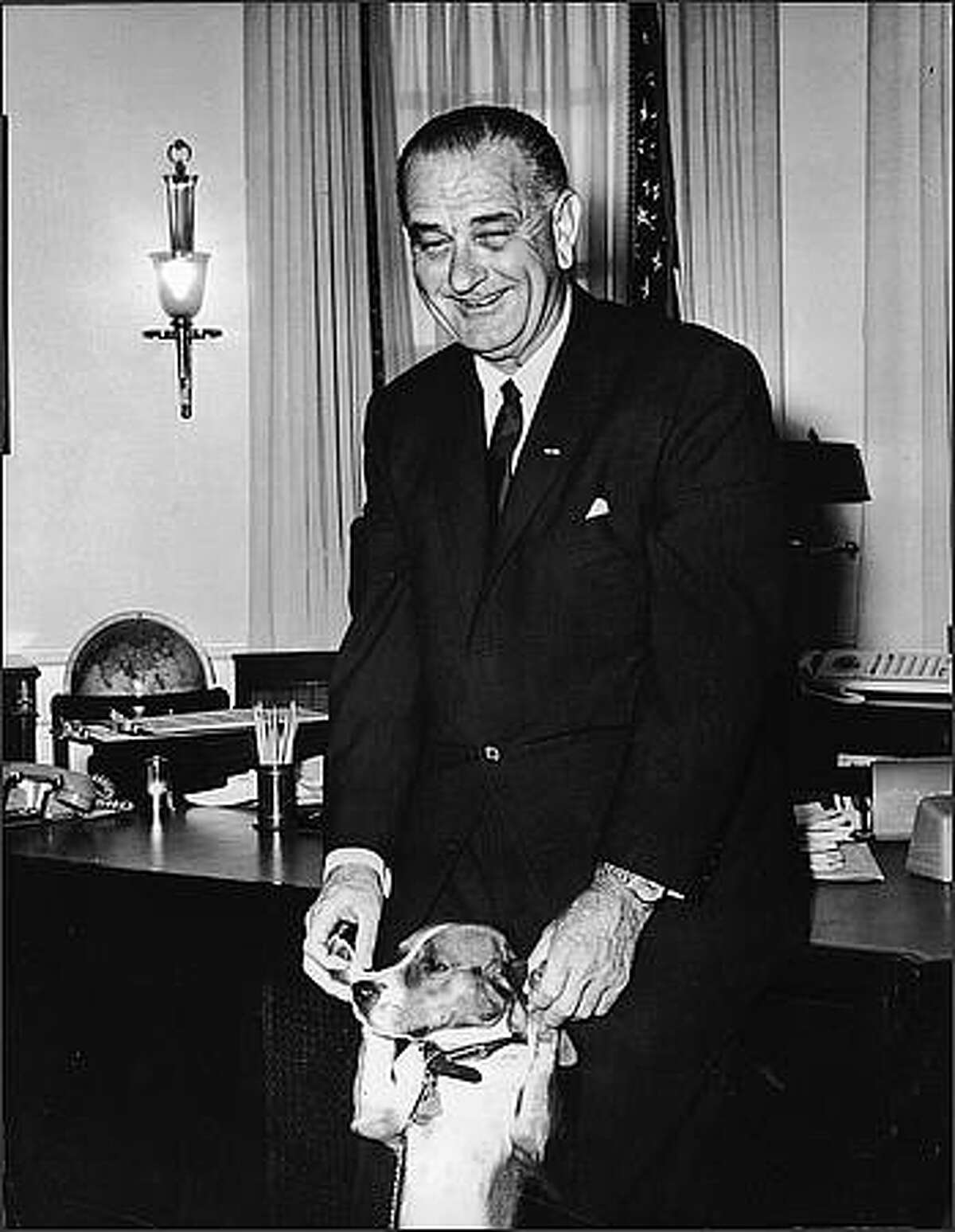 President Lyndon Baines Johnson smiles as he plays with his pet beagle 'Him' in the Chief Executive Office of the White House, Washington, DC, October 7, 1965. (Photo by Pictorial Parade/Getty Images)