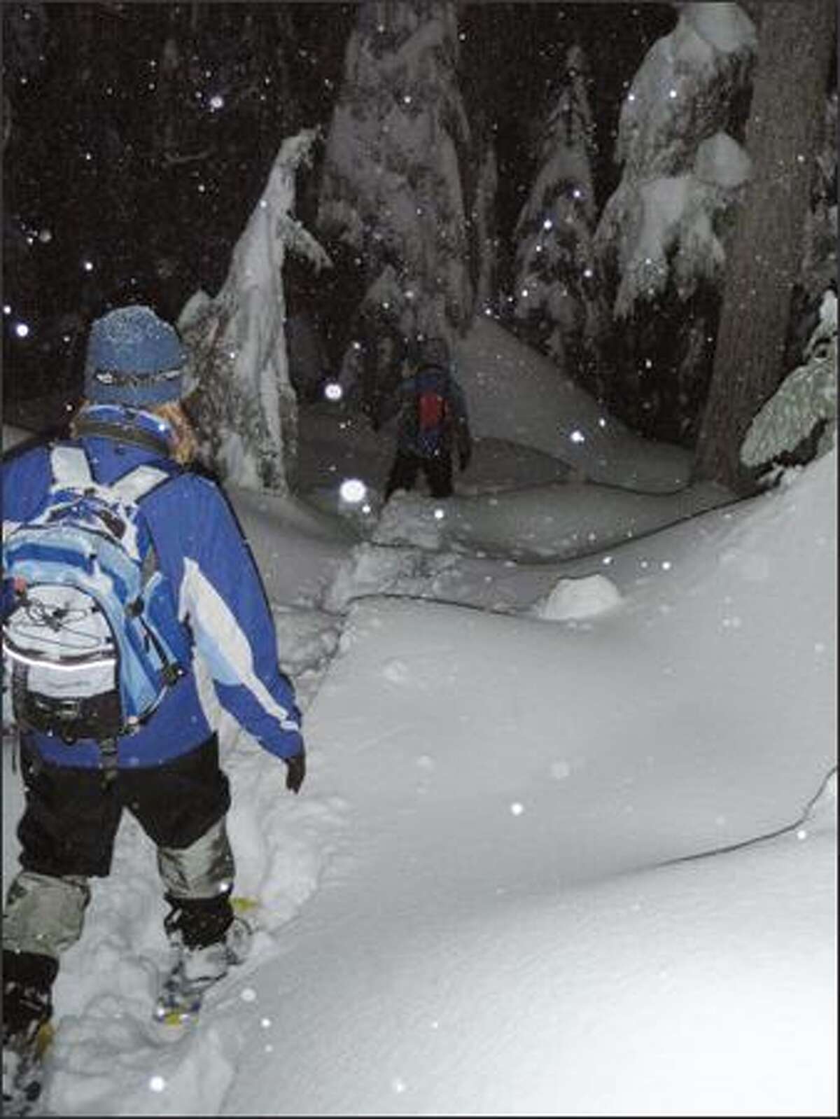 Snowshoeing on Mount Seymour B.C. walk rewards with beauty and
