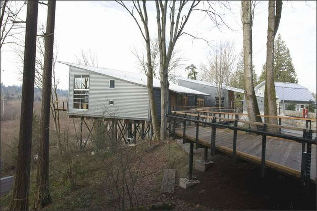 The Mercer Slough Environment Education Center is built on stilts and connected by elevated walkways in order to minimize disturbances to the landscape.